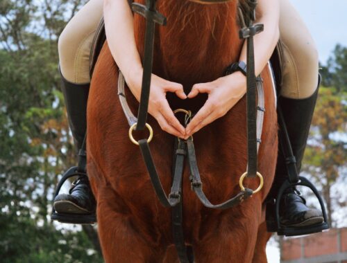 a person on a horseback